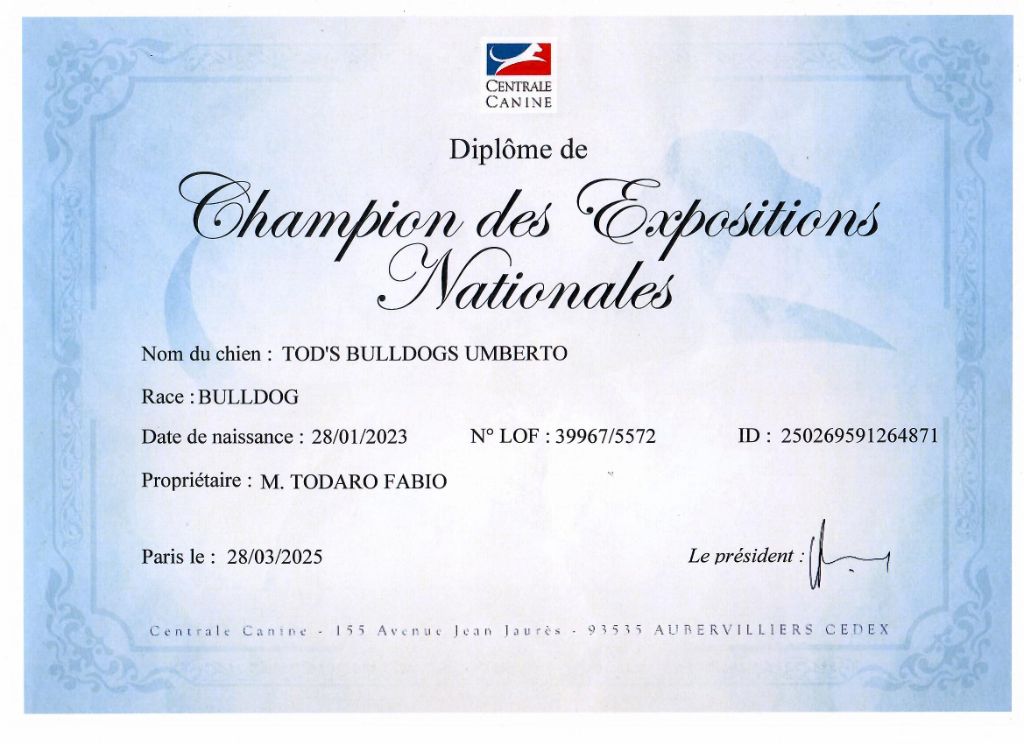 Tod's Bulldogs - CHAMPION DE FRANCE DES EXPOSITIONS NATIONALES