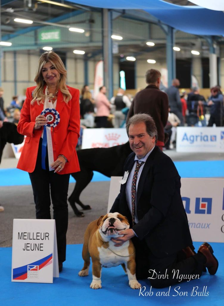 Tod's Bulldogs - CHAMPION DE FRANCE JEUNE MÂLE!